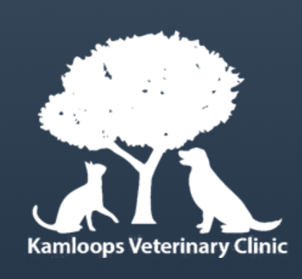 Kamloops Veterinary Clinic