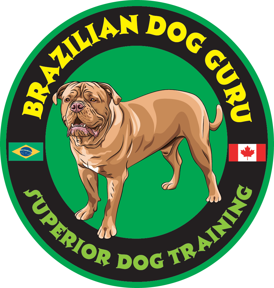 Brazilian Dog Guru Facility