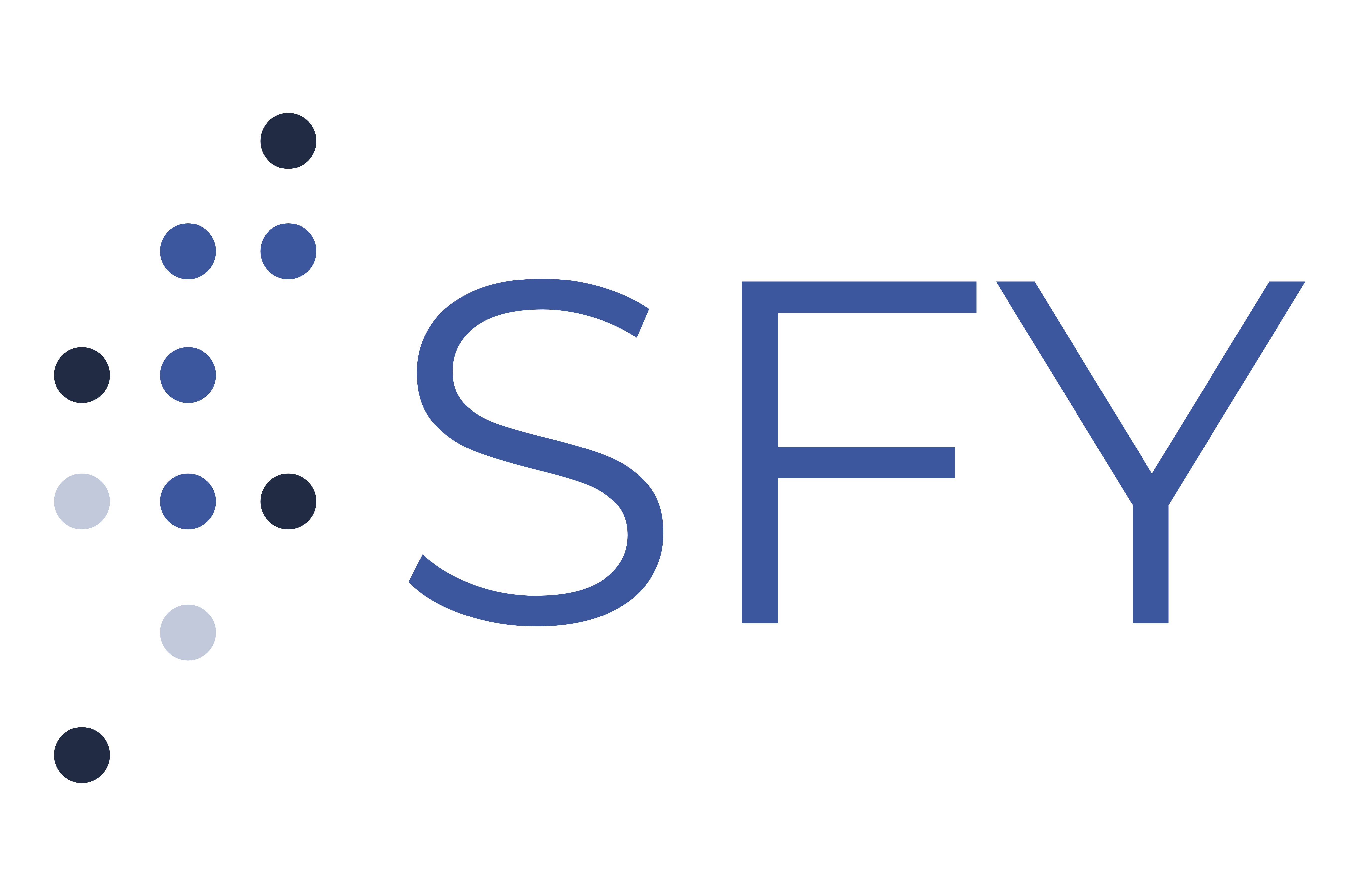 SFY Information Technology