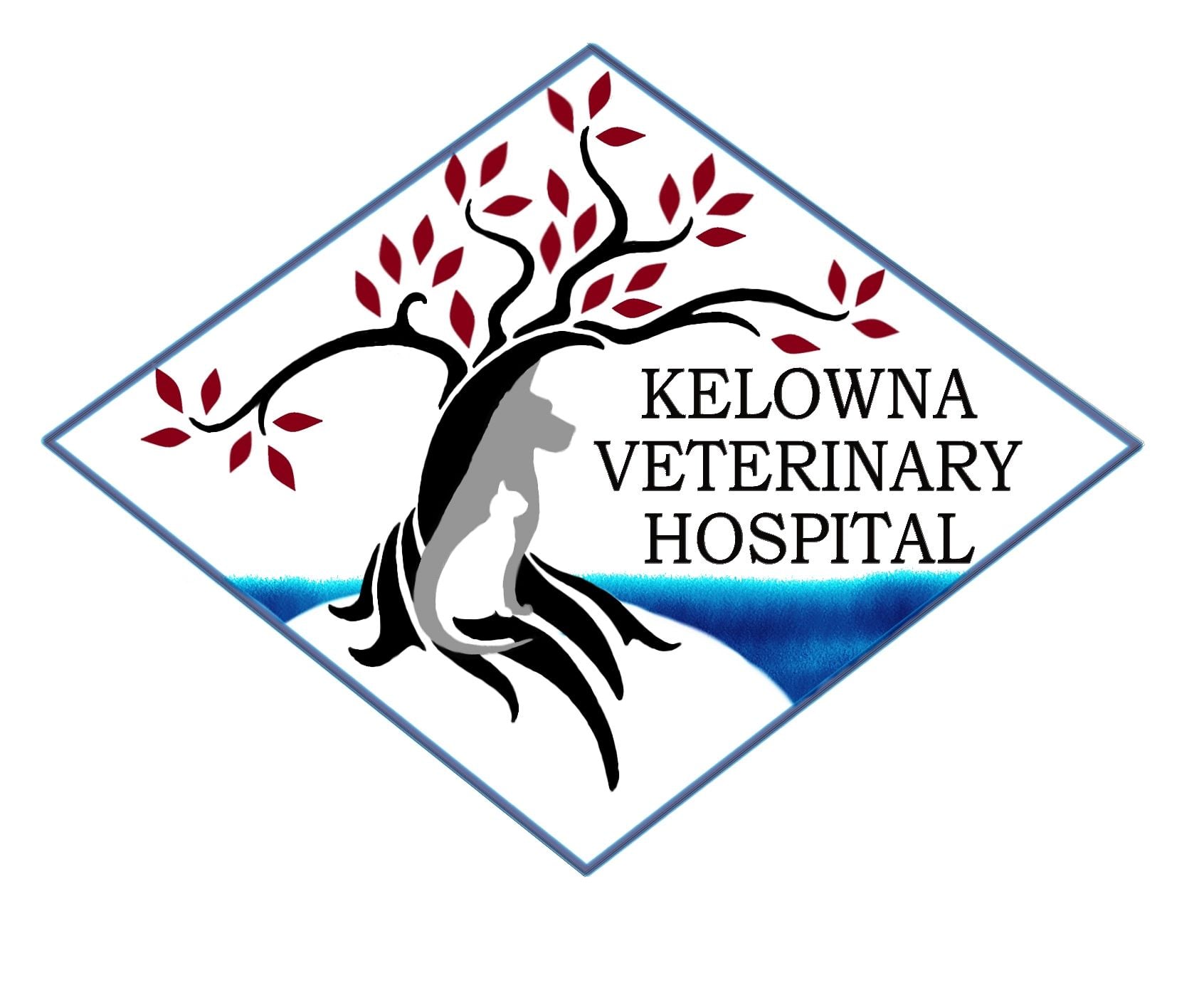 Kelowna Veterinary Hospital Ltd