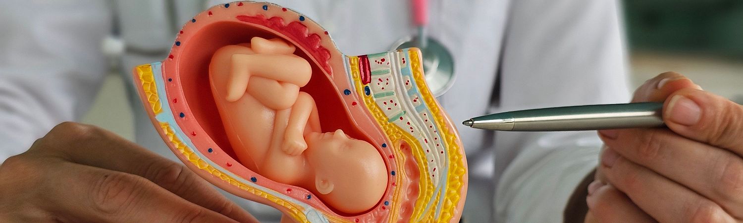 The Best Midwifery Practice in Kelowna