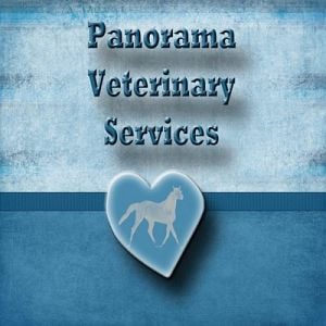 Panorama Veterinary Service