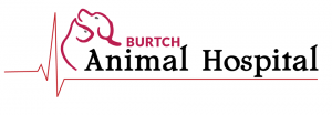 Burtch Animal Hospital