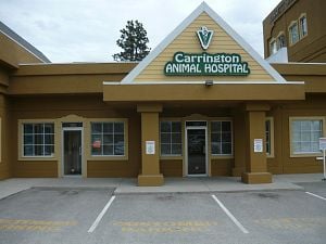 Carrington Animal Hospital