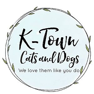 K-Town Cats and Dogs