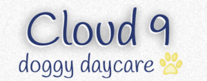 Cloud 9 Doggy Daycare