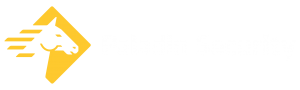 Paladin Security Group Ltd