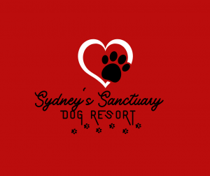 Sydney's Sanctuary Dog Resort 