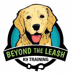 Beyond the Leash K9 Training | Nicole Larsen
