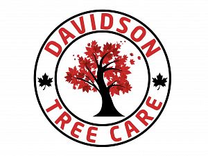 Davidson Tree Care
