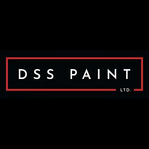 DSS PAINT LTD