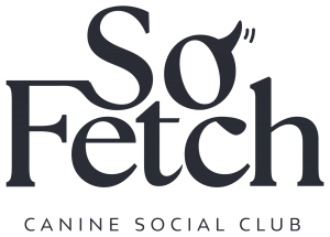 So Fetch Canine Social Club