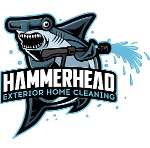 Hammerhead exterior home cleaning 
