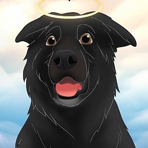 Otis's Halo
