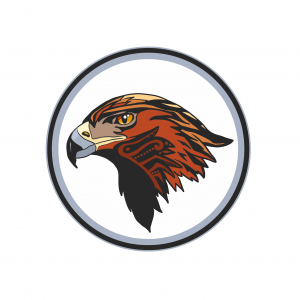 Eagleeye Bookkeeping Inc