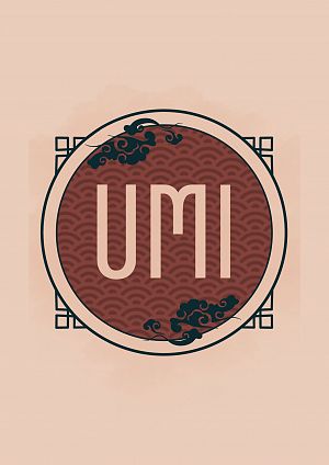 Ultra Magnetic Ink