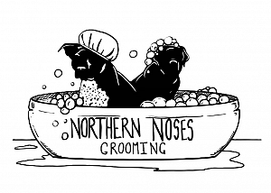 Northern Noses Dog Grooming | Amy Atkinson