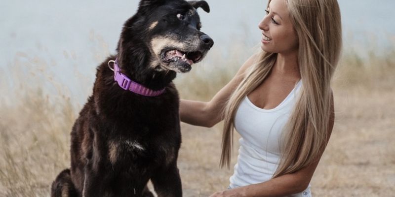 Wild to Tame Pet Services Inc. - Elisa 