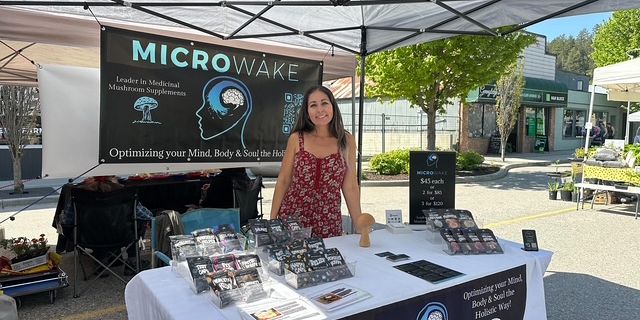 MicroWake