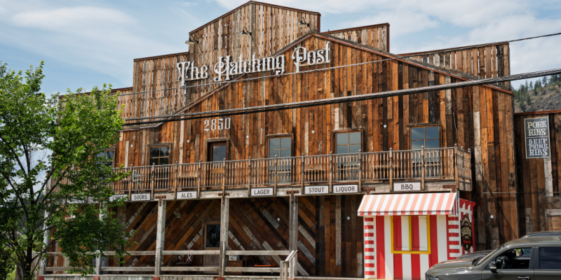 The Hatching Post