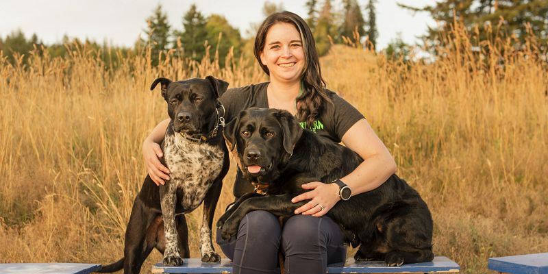 Northern Noses Dog Grooming | Amy Atkinson