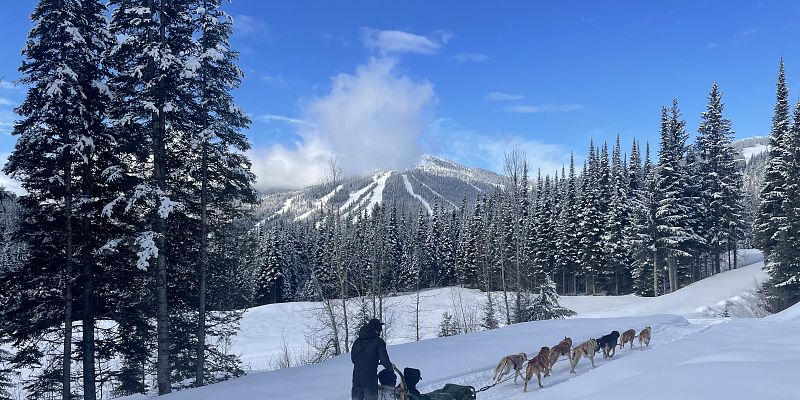 Mountain Man Adventures Ltd