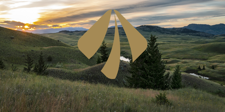 Avanti CPA LLP Avanti CPA LLP